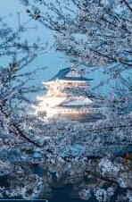 世界杯瑞典对韩国半场-瑞典与韩国，世界杯赛场上的激烈较量